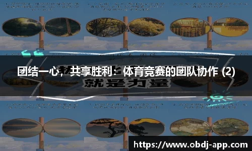 团结一心，共享胜利：体育竞赛的团队协作 (2)